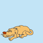 Animations - 283